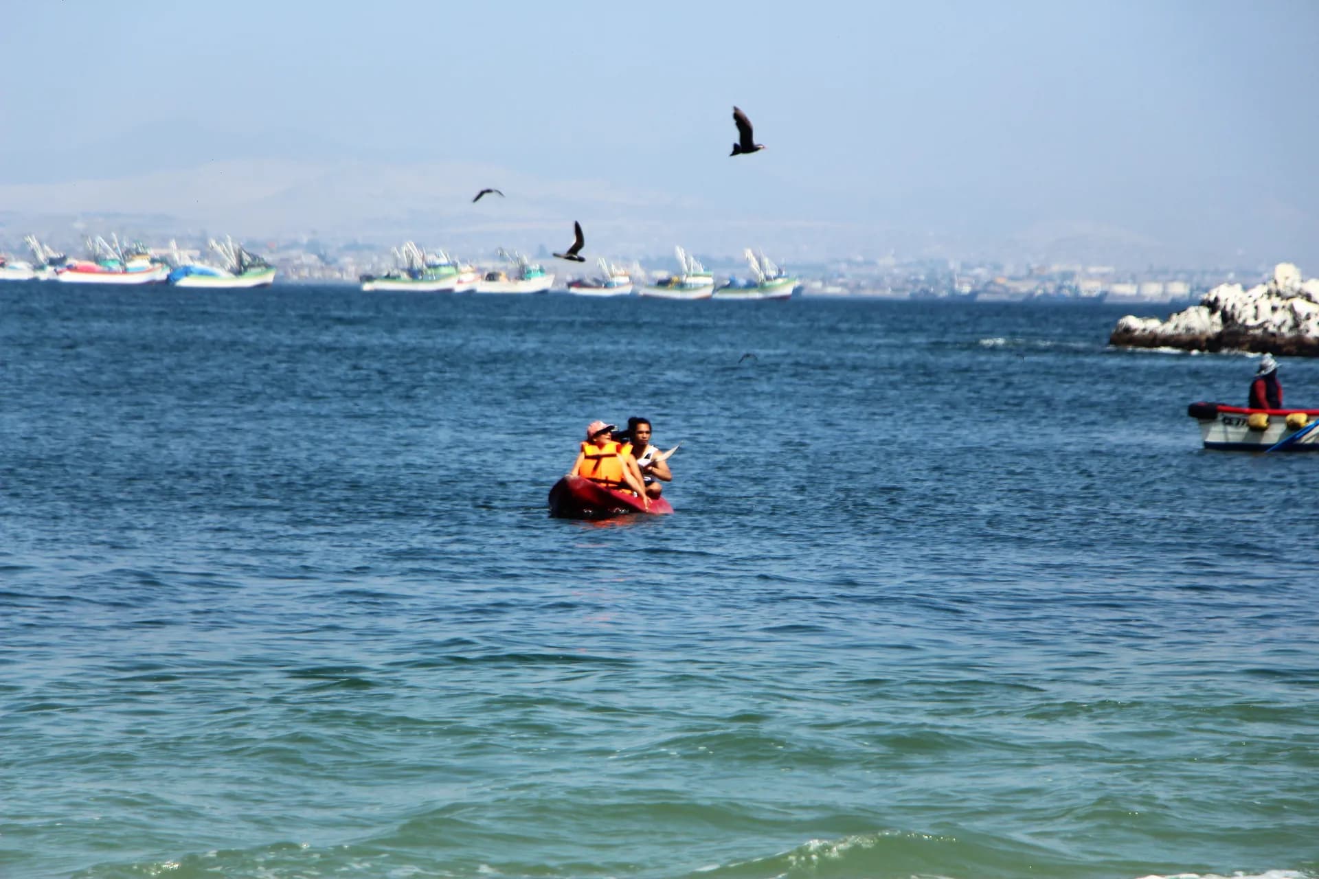 Full Days Isla Blanca